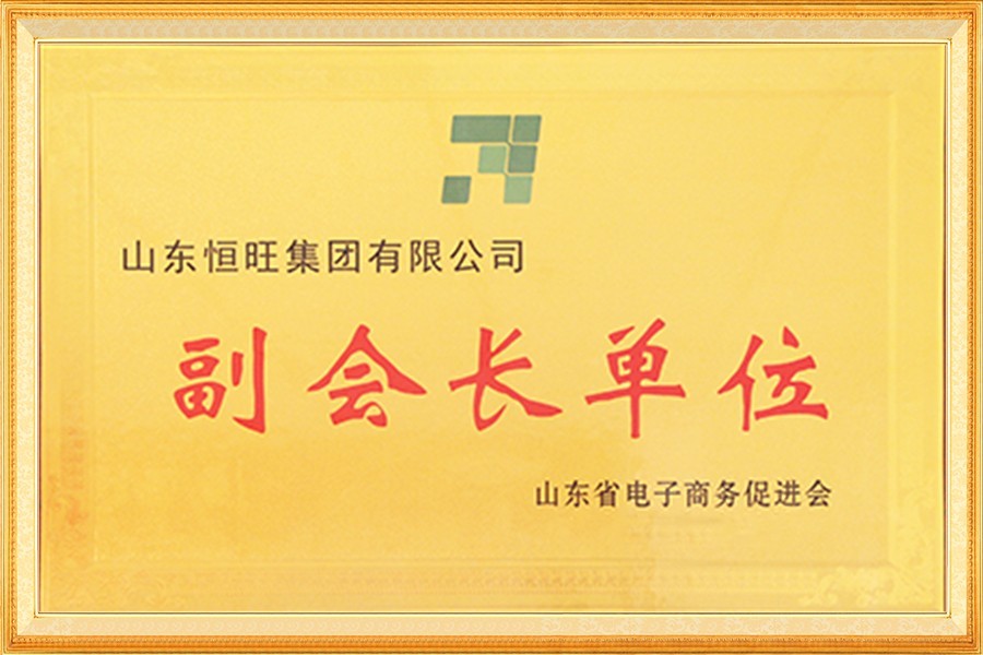 山東省電子商務促進會副會長單位